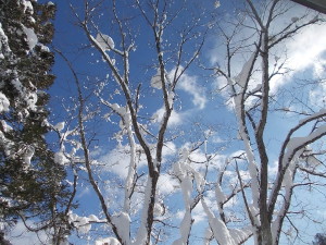 青い空、白い雲、輝く新雪